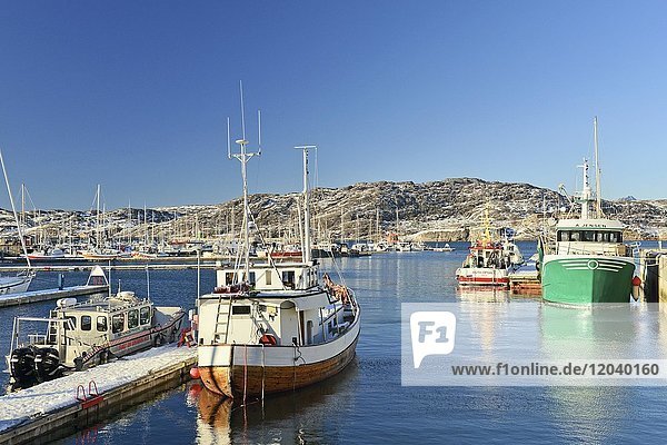 Fishing boats in the harbour  Bodø  Nordland  Norway  Europe