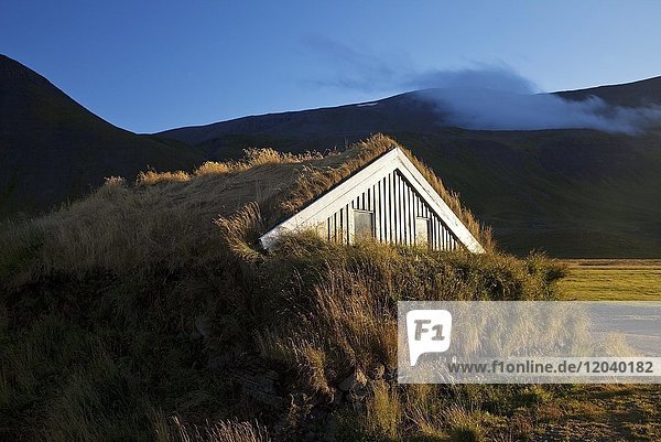 Holzhaus mit traditionellem Grassodendach in hügeliger Landschaft  Reykjadiskur  Island  Europa