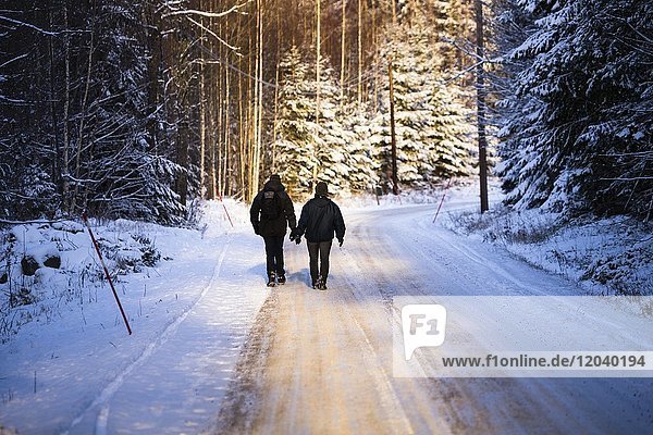 Couple  pedestrians walking on a road through snowy forest  Värmland  Sweden  Europe