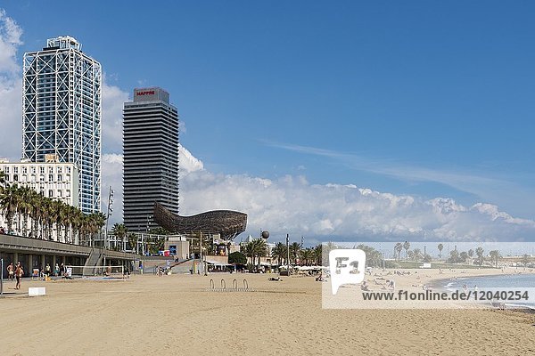 Doppeltürme von und goldener Fisch Peix am Strand  Skulptur von Frank Owen Gehry  Port Olimpic  La Barceloneta  Barcelona  Katalonien  Spanien  Europa