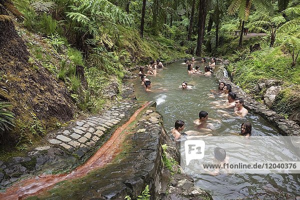 Tree ferns (Cyatheales)  people bathe in a natural pool with sulphurous water from thermal springs  Caldeira Velha  island of Sao Miguel  Azores  Portugal  Europe