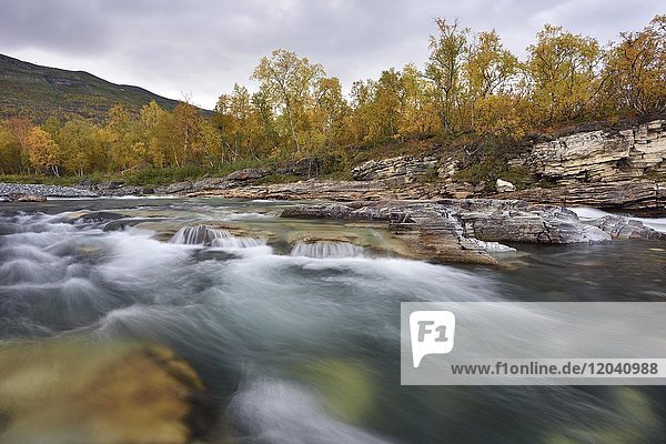 Fluss Abiskojakka River fließt durch Abisko Canyon  Flusslandschaft im Herbst  Abisko-Nationalpark  Schweden  Europa