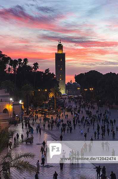 Blick auf das Koutoubia-Minarett bei Sonnenuntergang vom Djemaa el Fna  Marrakesch  Marokko  Nordafrika  Afrika