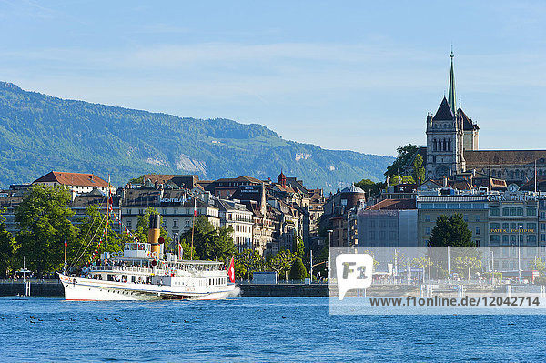 Steamboat  Lake Geneva  Geneva  Switzerland  Europe