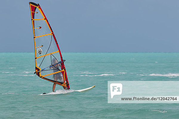 Windsurfen am Long Bay Beach  an der Südküste von Providenciales  Turks- und Caicosinseln  in der Karibik  Westindien  Mittelamerika