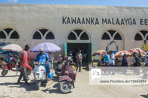 Der Fischmarkt in Mogadischu  Somalia  Afrika