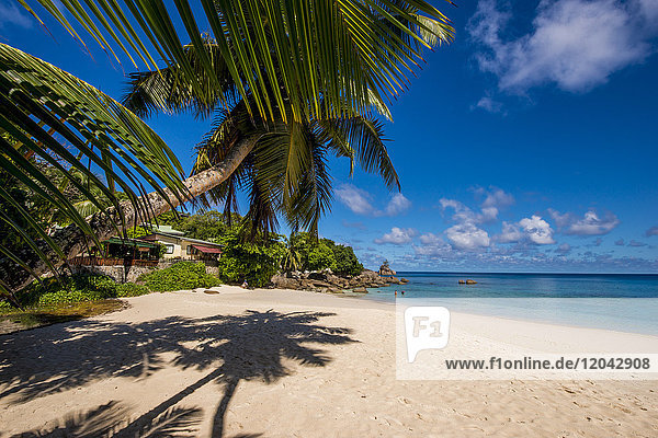 Strand Anse Soleil  Mahe  Republik Seychellen  Indischer Ozean  Afrika