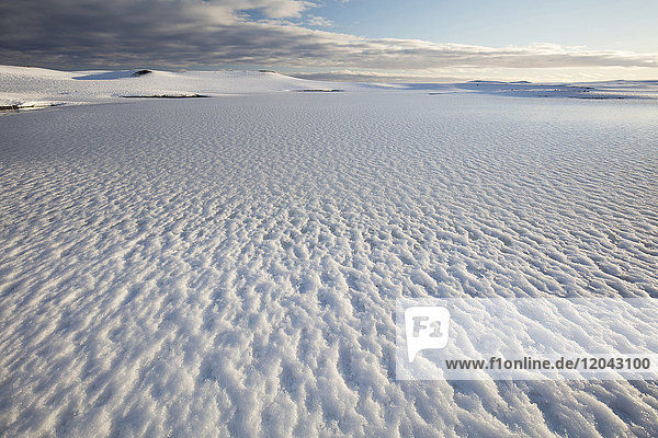 Snow covered landscape in winter near Jokulsarlon South Iceland Polar Regions