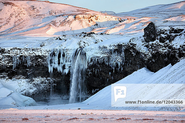 Winter view of Seljalandsfoss Waterfall bathed in evening light South Iceland Polar Regions