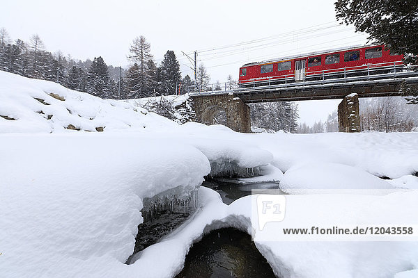 Der Bernina Express Zug in der verschneiten Landschaft von Morteratsch  Engadin  Kanton Graubünden  Schweiz  Europa