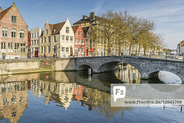Bridge and houses on the Langerei canal  Bruges  West Flanders province  Flemish region  Belgium  Europe