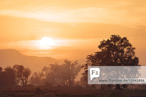 Sonnenuntergang über Reisfeldern in der Nähe von Hsipaw  Shan-Staat  Myanmar (Birma)  Asien