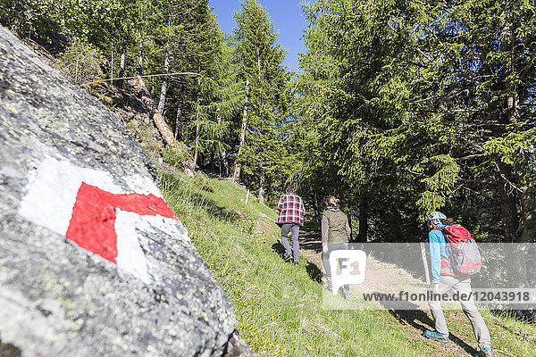 Wanderer auf dem Sentiero del Carbonaio  San Romerio Alp  Brusio  Poschiavo Tal  Kanton Graubünden  Schweiz  Europa