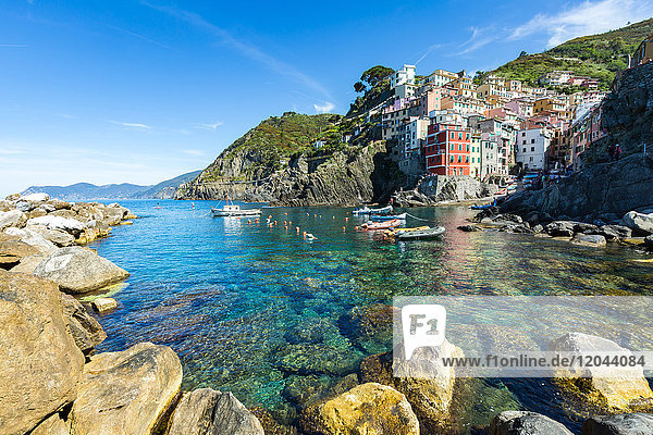 Die bunten Gebäude und Boote im Hafen von Riomaggiore  Cinque Terre  UNESCO-Weltkulturerbe  Ligurien  Italien  Europa