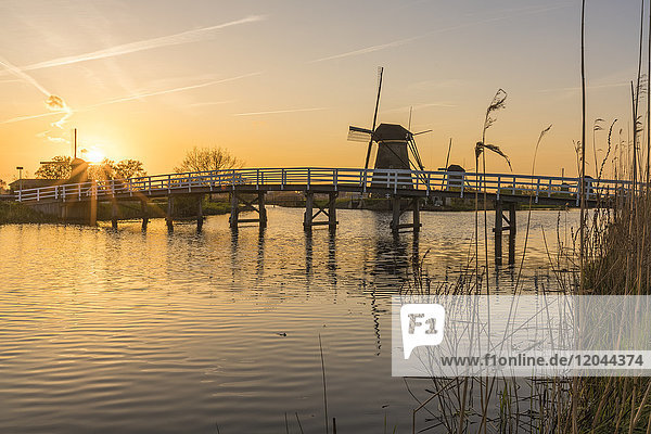 Brücke über die Gracht mit Windmühlen und Schilf im Vordergrund bei Sonnenuntergang  Kinderdijk  UNESCO-Welterbe  Gemeinde Molenwaard  Provinz Südholland  Niederlande  Europa