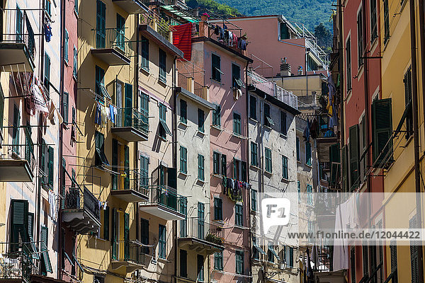 Die farbenfrohen Gebäude der Hauptstraße von Riomaggiore im Sonnenlicht des frühen Morgens  Cinque Terre  UNESCO-Weltkulturerbe  Ligurien  Italien  Europa