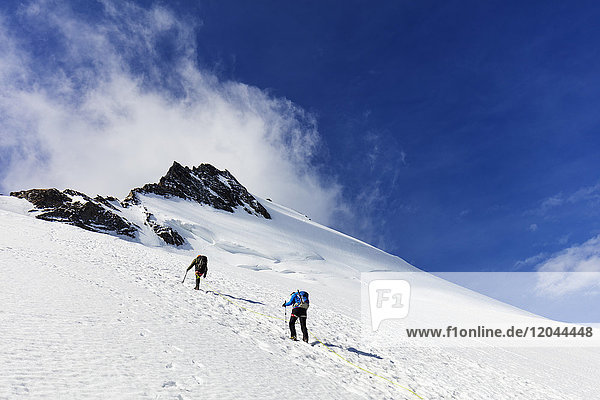 Climbers on the Dom 4535m  Zermatt  Valais  Swiss Alps  Switzerland  Europe