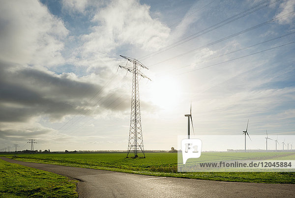 Windturbinen am frühen Morgen  Rilland  Zeeland  Niederlande  Europa