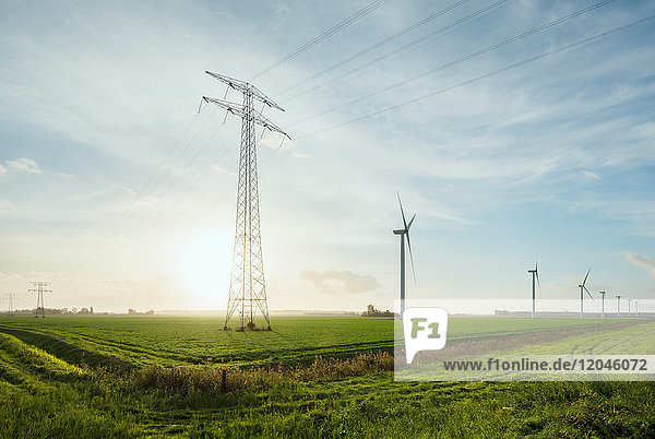 Windturbinen am frühen Morgen  Rilland  Zeeland  Niederlande  Europa