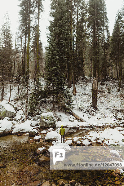 Rückansicht eines männlichen Wanderers auf Flussfelsen im verschneiten Sequoia-Nationalpark  Kalifornien  USA