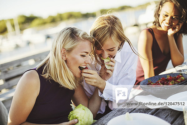 Junge Frau sieht fröhliche blonde Freunde an,  die am Picknicktisch Kohl teilen.