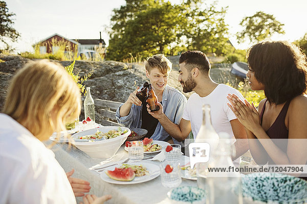 Men toasting beer bottles while sitting with friends at picnic table