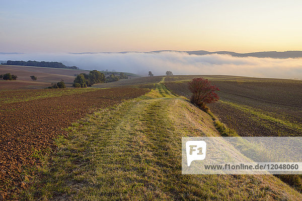 Countryside with path and morning mist over fields at Grossheubach in Bavaria  Germany