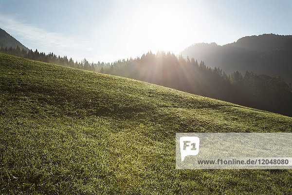 Sun Rays and Hillside