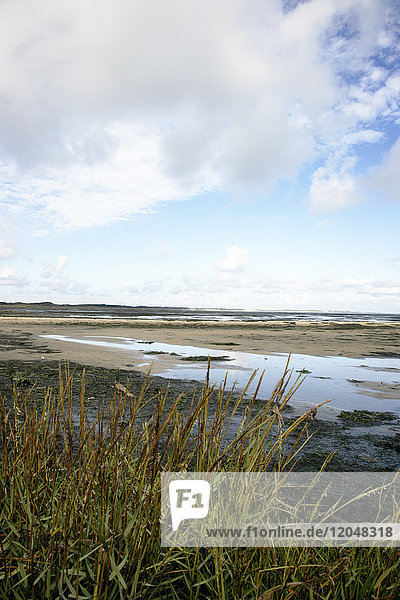 Beach Sylt Germany