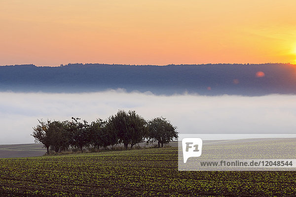 Landschaft mit Morgennebel und Sonnenaufgang über Feldern in Großheubach in Bayern  Deutschland