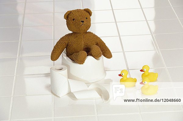 Teddybär auf Töpfchen sitzend