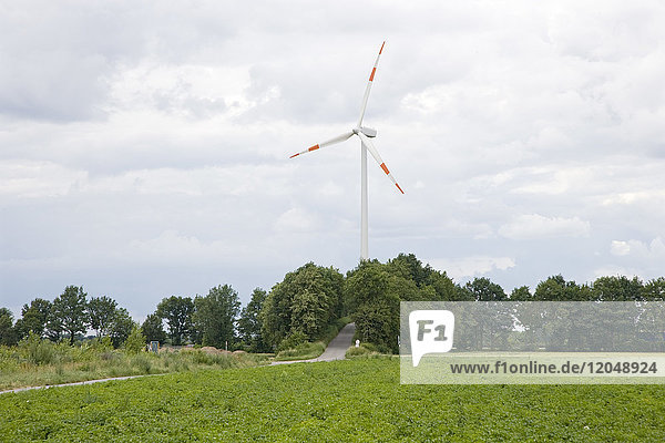 Windmill by Field