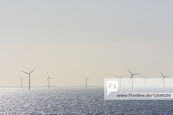 Offshore wind turbine farm with sun shining on the North Sea on a hazy morning United Kingdom