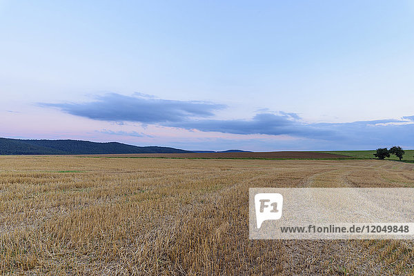 Harvested cereal grain field at dusk in summer at Roellbach in the Spessart hills in Bavaria  Germany