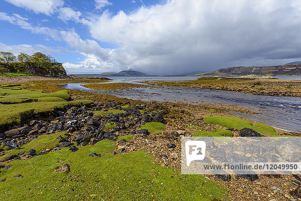 Moosbewachsenes felsiges Ufer eines Flusses  der in die Meeresbucht auf der Isle of Skye in Schottland  Vereinigtes Königreich  mündet
