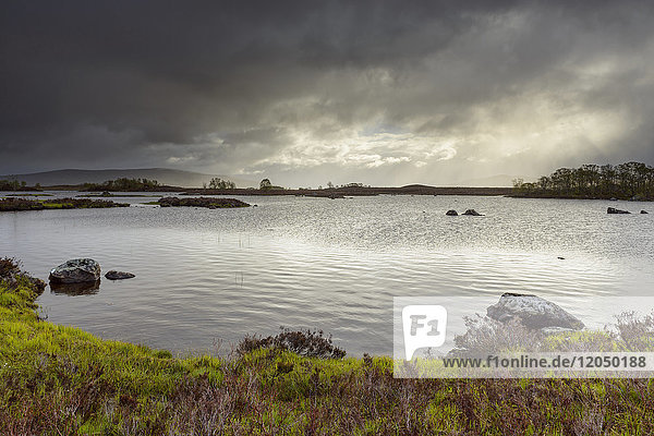 Shoreline of a lake in a moor landscape with stormy sky at Rannoch Moor in Scotland  United Kingdom