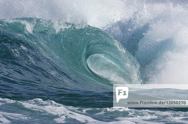 Kamm einer brechenden Welle an der Nordküste von Oahu in Hawaii  USA