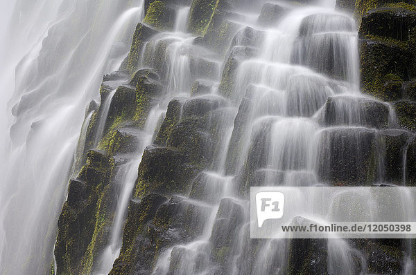 Nahaufnahme der über Basaltsäulen stürzenden Proxy Falls in der Three Sisters Wilderness in Oregon  USA