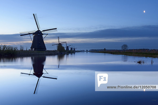 Windmühlen in der Morgendämmerung mit Mond  Kinderdijk  Südholland  Niederlande