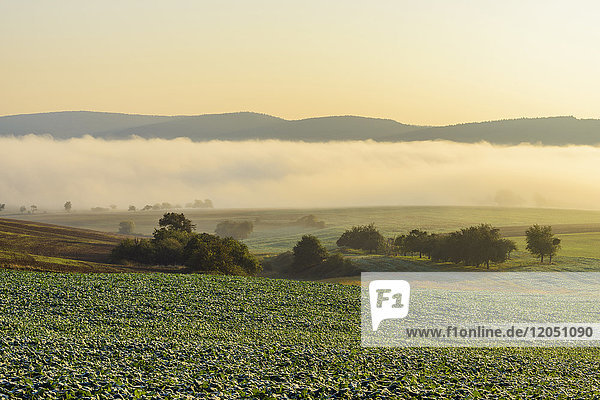 Countryside with morning mist over the fields in the community of Grossheubach in Bavaria Germany