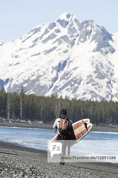 Surfer Walking With Surfboard Along The Kenai Peninsula Outer Coast  Southcentral Alaska  USA