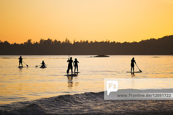 Fünf Frauen beim Stand Up Paddle Boarding auf dem Meer in der Nähe von Tofino  am Mackenzie Beach bei Sonnenuntergang  Vancouver Island; Tofino  British Columbia  Kanada