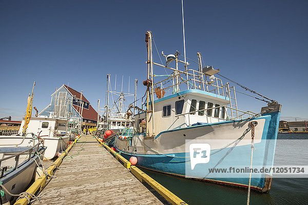 Fishing boats docked in a harbour along a wooden dock on the Atlantic coast; Newfoundland  Canada