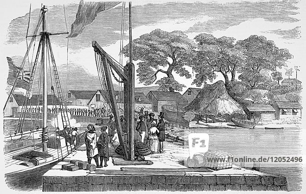 The Illustrated London News Etching From 1854.matacong west Coast Africa  Pier And Warehouses. Peoplw On The Pier With Boats And Cargo. Crimean War