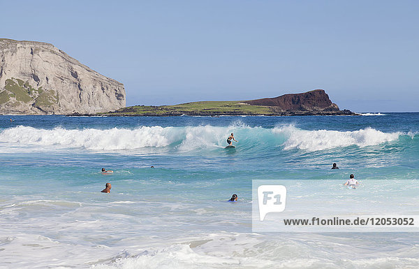 Bodyboarders catching waves at Makapu'u Beach; Waimanalo Oahu Hawaii United States of America