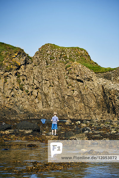 Ein junger Junge steht mit einem Netz in den Gezeitentümpeln entlang der Küste Nordirlands; Irland