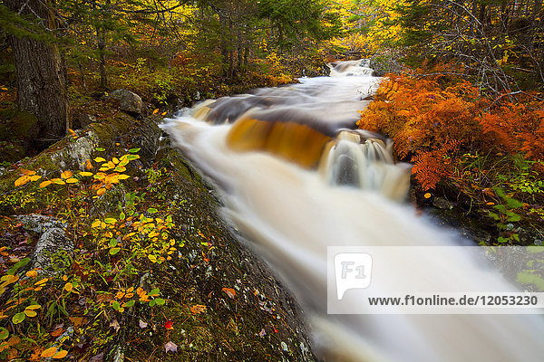Kräftig gefärbtes Herbstlaub entlang des Kings Brook mit Wasserfällen und verschwommen fließendem Wasser  in der Nähe von Sleepy Cove; Grand Lake  Nova Scotia  Kanada