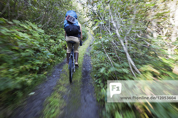 Eine Frau Mountainbikes nach unten einen Weg in einem Wald mit einem Rucksack; Alaska  Vereinigte Staaten von Amerika