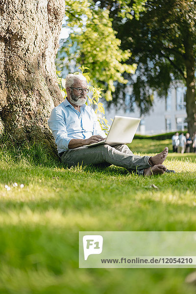 Mature man using laptop in park