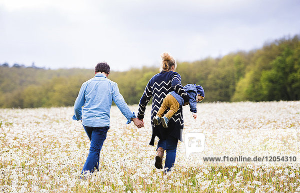 Mother with husband carrying little boy in dandelion field